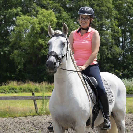 Nánosník k Hackamore F.R.A. Fiore DOPRODEJ