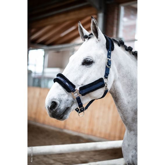 Ohlávka Schockemöhle Melbourne Kolekce 2024/25