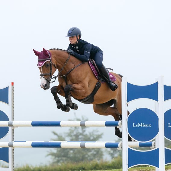 Podsedlová dečka LeMieux Loire Classic Kolekce 2026/27