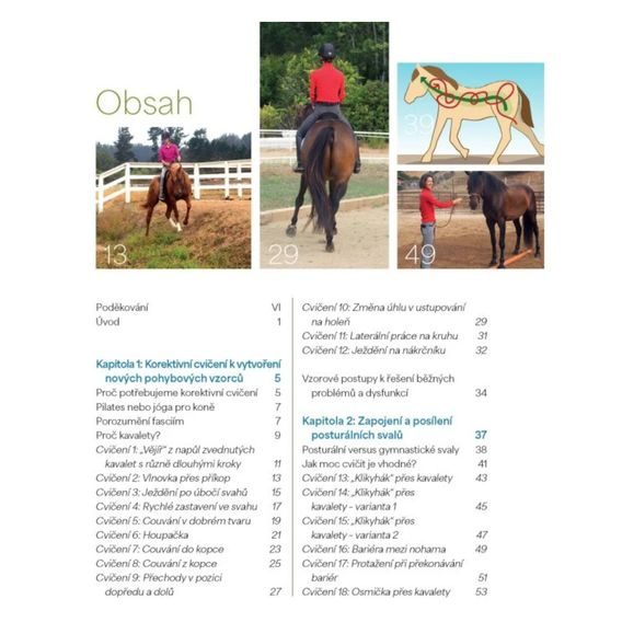 Publ Ballou Korektivní cvičení pro koně