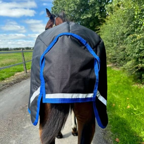 Deka výběhová Horseware Amigo Ripstop 900D 50g hříběcí