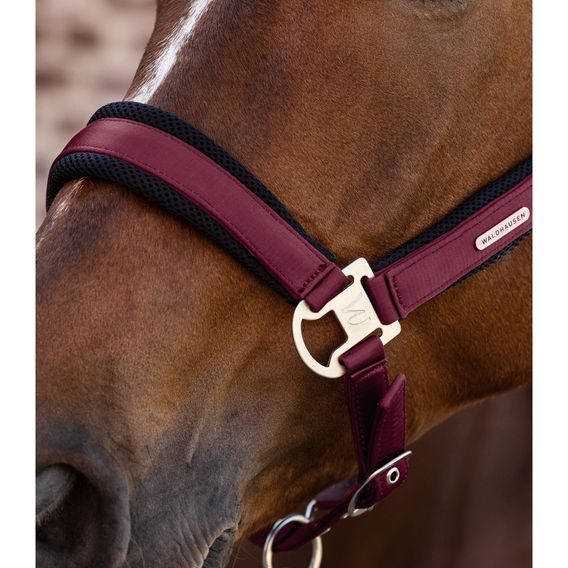 Ohlávka W Breath Mesh