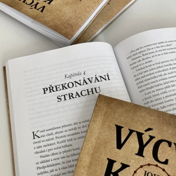 Publ Lyons Výcvik koně: systém malých kroků
