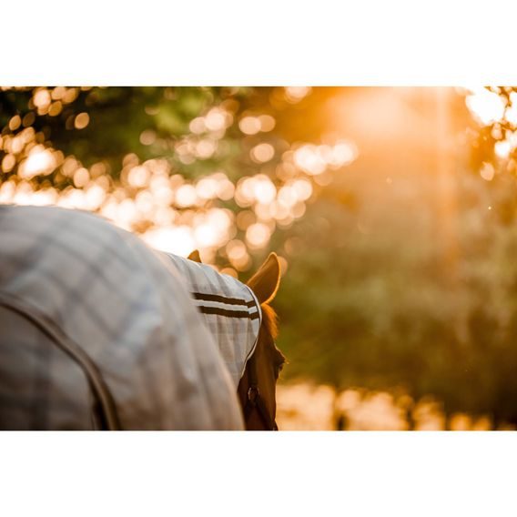 Deka síťovaná Horseware Newmarket Plus Fly Sheet