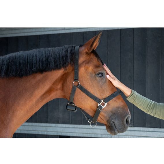 Birth Alarm Lite 2.0