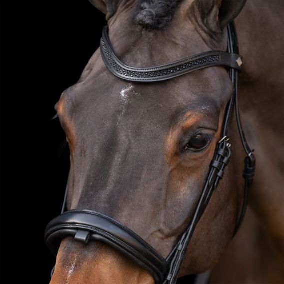 Uzdečka Imperial Riding Snaffle Rhinestone