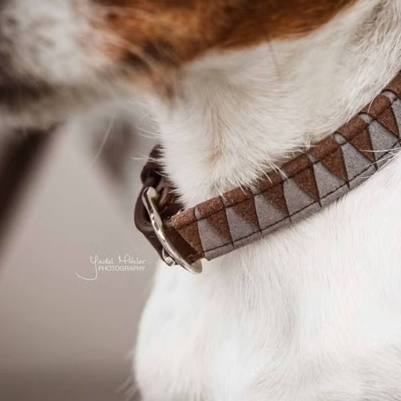 Obojek Kentucky Triangle