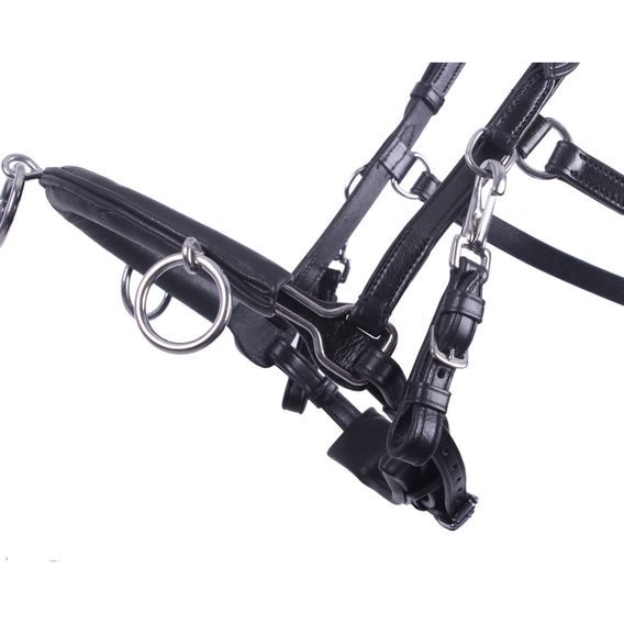 Lonžovací uzdečka QHP anatomická