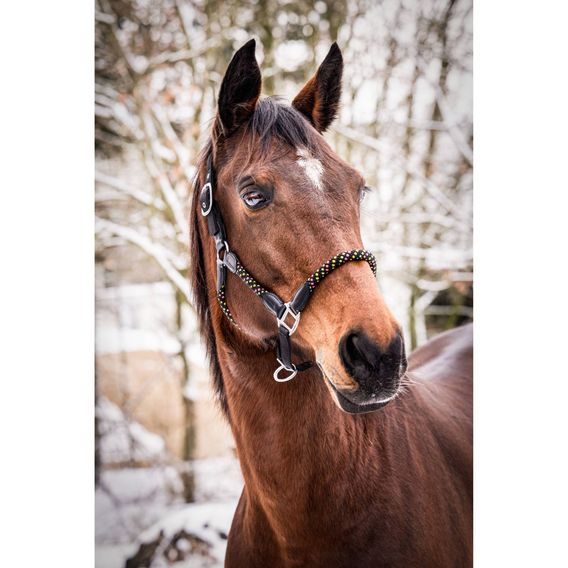 Ohlávka HKM NeonFlash