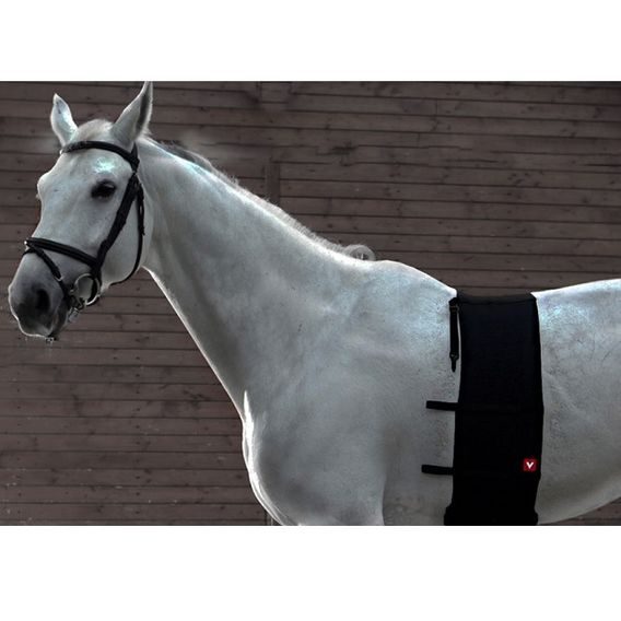 Ochranný pás Vetoflex Classic Belly Band