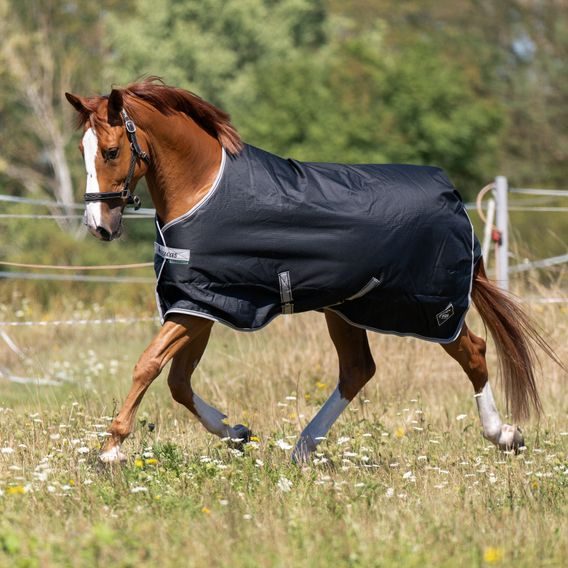 Deka termo výběhová Bucas&EQS Freedom 300g LIMITED EDITION