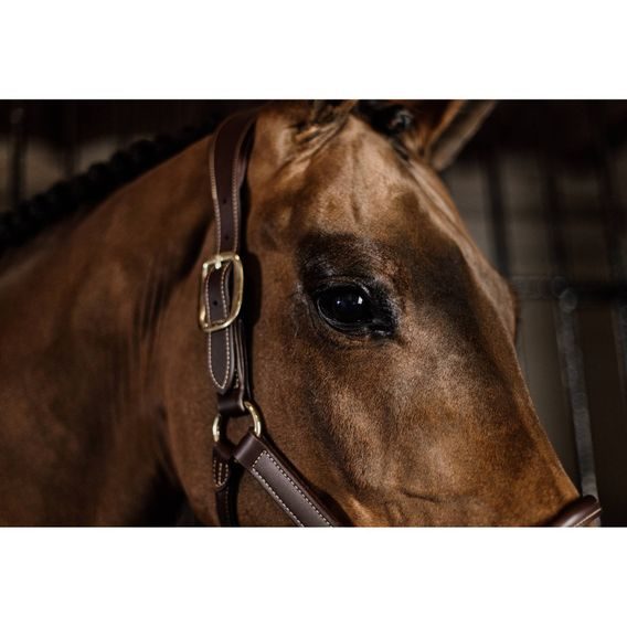 Ohlávka Kentucky Anatomic leather