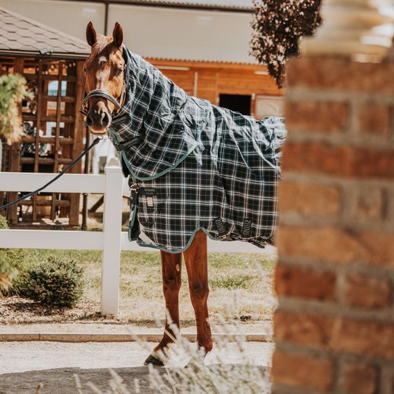 Deka Horseware Rhino Plus Turnout Vari-Layer 250g