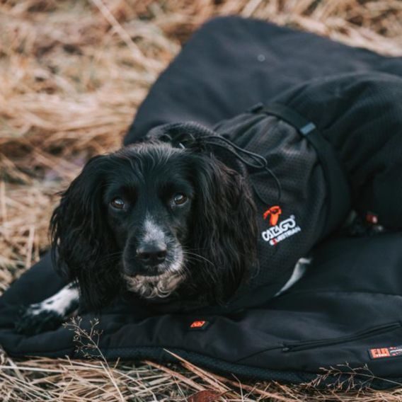 Pelíšek pro psa Catago FIR-Tech Pro Heated