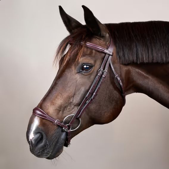Uzdečka Dy'on Adjustable Drop Noseband NEAAAE