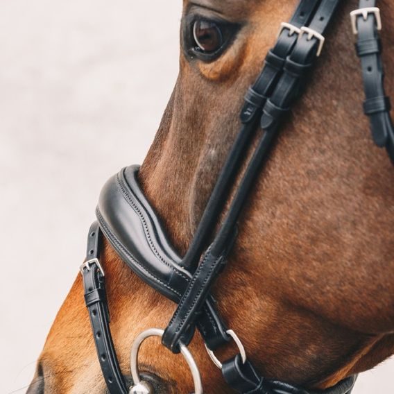 Uzdečka Schockemöhle Malibu anatomická švéd.nán. DOPRODEJ