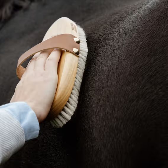 Kartáč Kentucky Overal Body Soft Shine