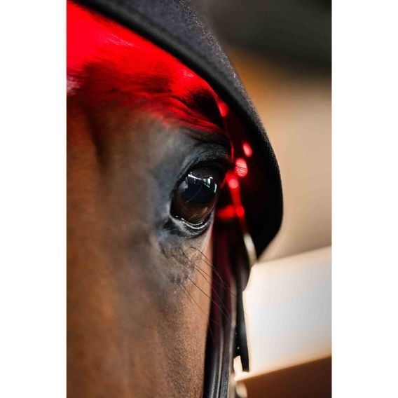 Chránič týlu Horseware® LED Red Light Therapy