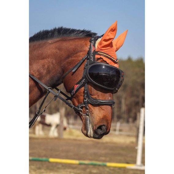 Ochrana očí Equick eVysor