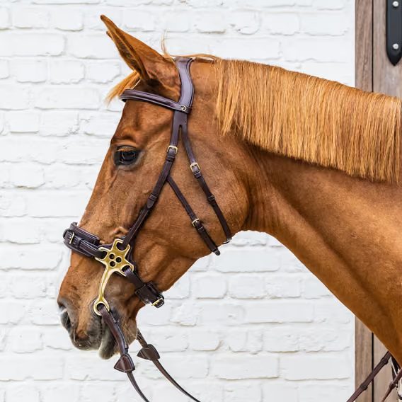 Speciální udidlo Hackamore Dy'on DY-14003