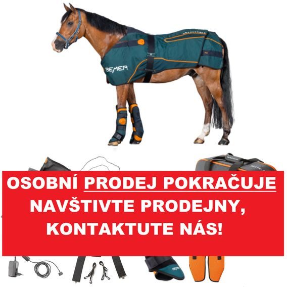 BEMER Horse-Set