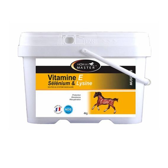 Horse MASTER Vitamin E + Selen + Lysin Powder 1 kg