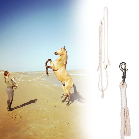 F.R.A. Flinn working line 820 cm