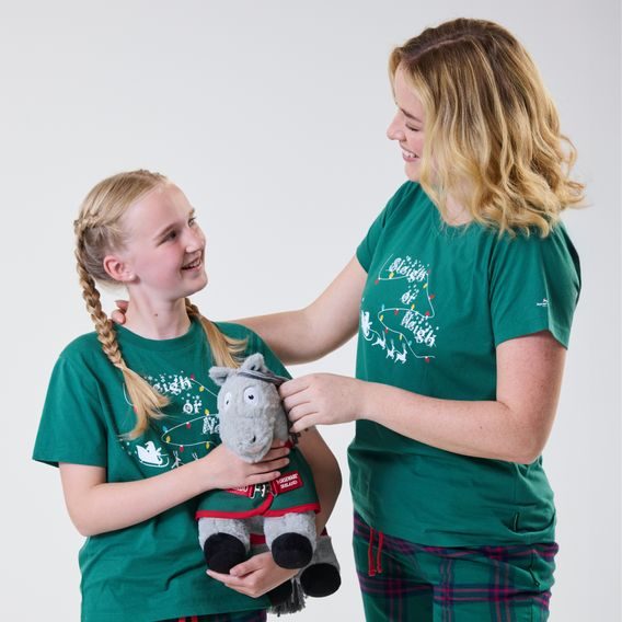 Hračka Horseware Crafty Ponies