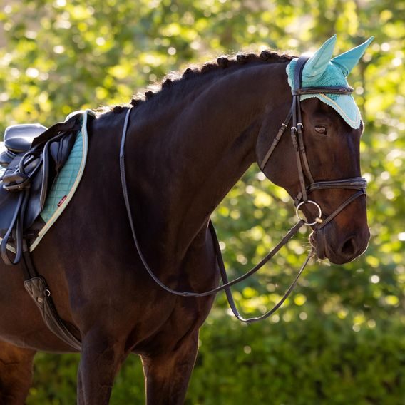 Čabraka na uši LeMieux Classic Lagoon Kolekce 2025