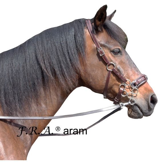 Uzdečka s hackamore F.R.A. Aram