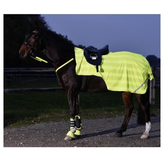 Deka bederní reflexní Busse DOPRODEJ