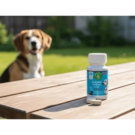 Kloubní výživa pro psy s CBD Zelená Země 60 ks