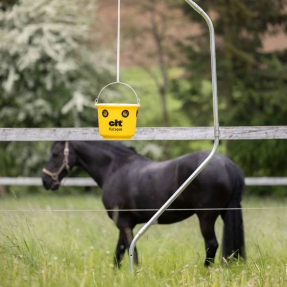 Lapač hmyzu včetně návnady Kerbl Cit Flycage 6