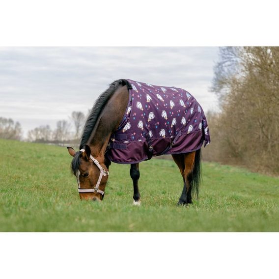 Deka výběhová Equitheme Unicorn 600D 220g