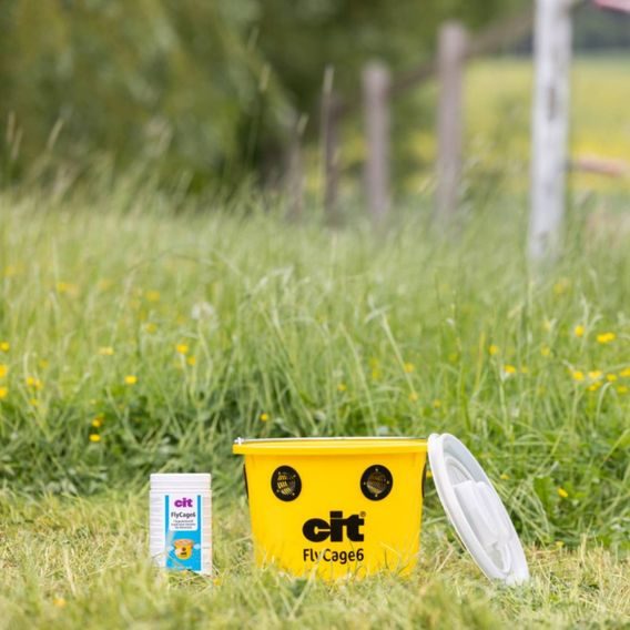 Lapač hmyzu včetně návnady Kerbl Cit Flycage 6
