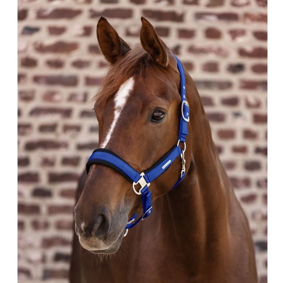 Ohlávka W Breath Mesh