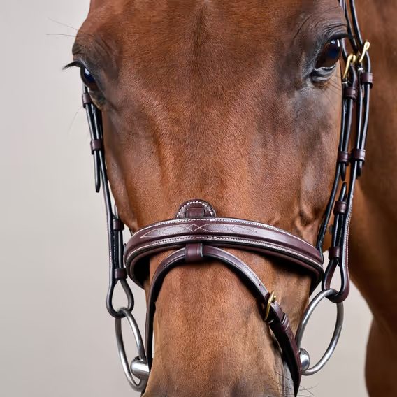 Uzdečka Dy'on Flash Noseband DYAAAA