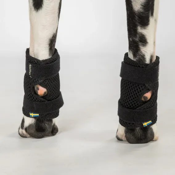 Kamaše Back on Track Milo pro psa 3106 pár