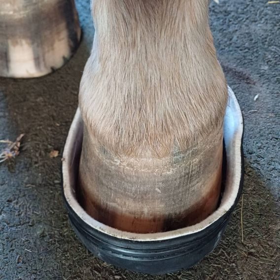 TEST měřící sada Sawer Front - 7 ks