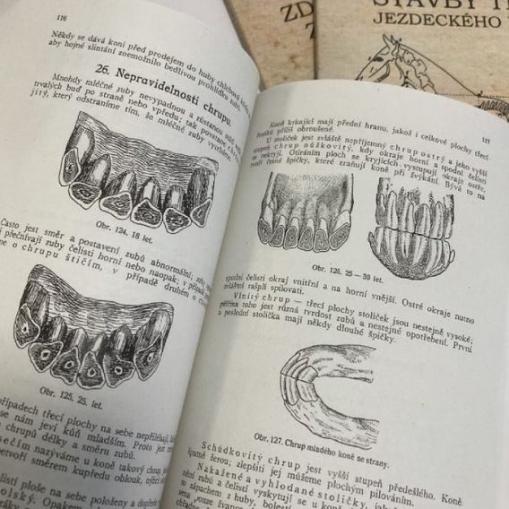 Publ Lechner Kompletní dílo DOPRODEJ