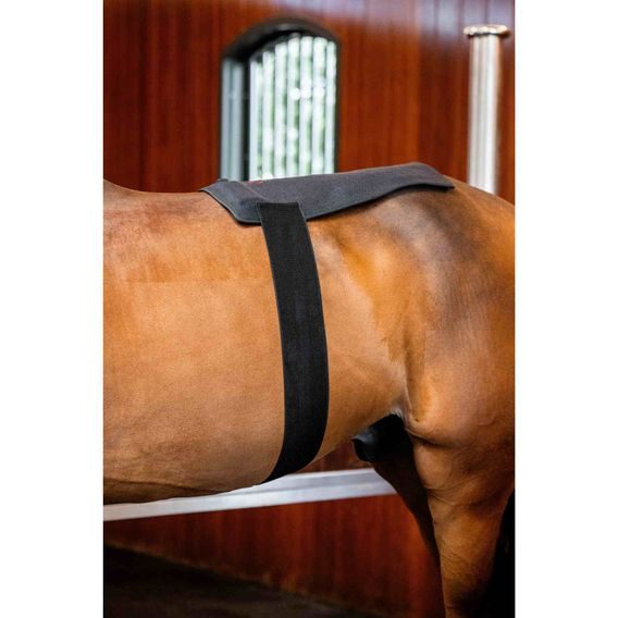 Deka Horseware® LED Red Light Therapy Pad