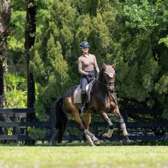 Podsedlová dečka Equestrian Stockholm Modern Champagne