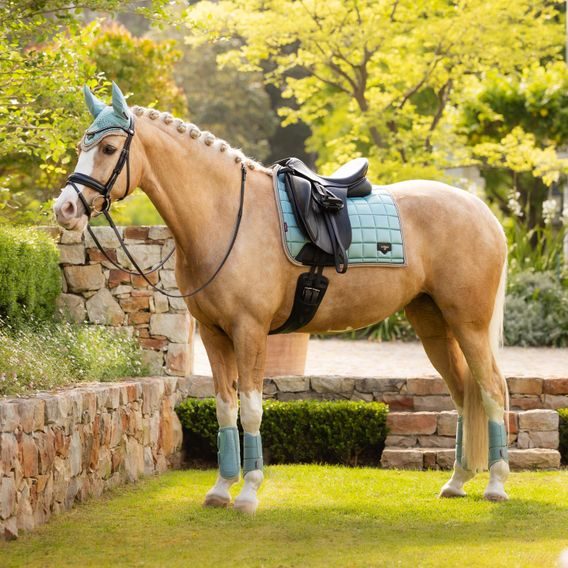 Čabraka na uši LeMieux Loire Aqua Kolekce 2025