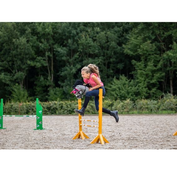 Hobby Horse QHP