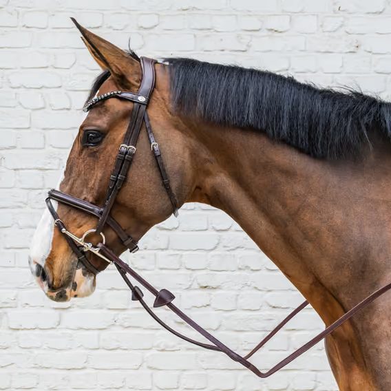 Uzdečka Dy'on Medium Flash Noseband Bridle Soft SO-10004