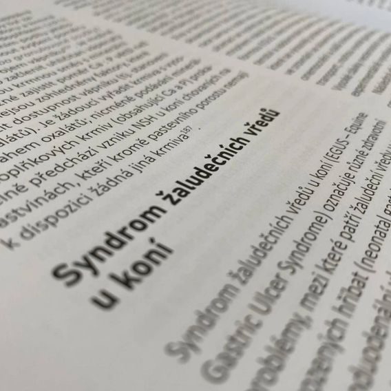 Publ Krmení koní Kompletní výživové požadavky - rozšířený dotisk