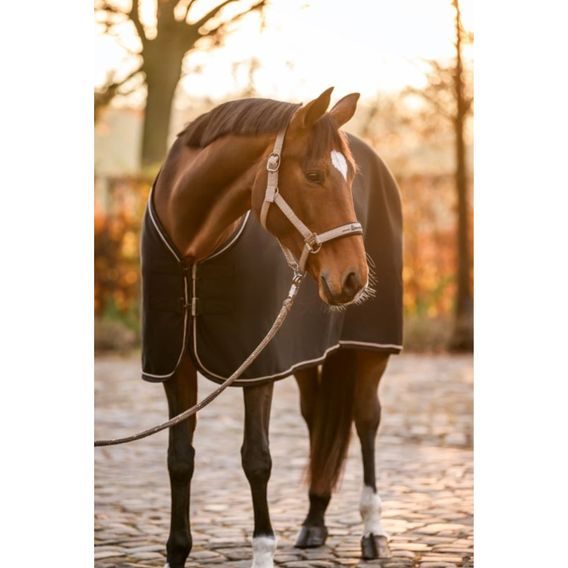 Ohlávka Cavallo Cavalrose Kolekce 2026/27