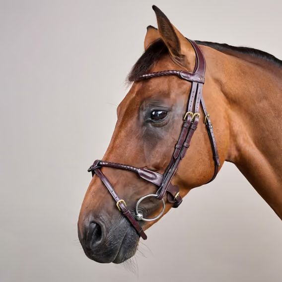 Uzdečka Dy'on Braided Flash Noseband DYARAY