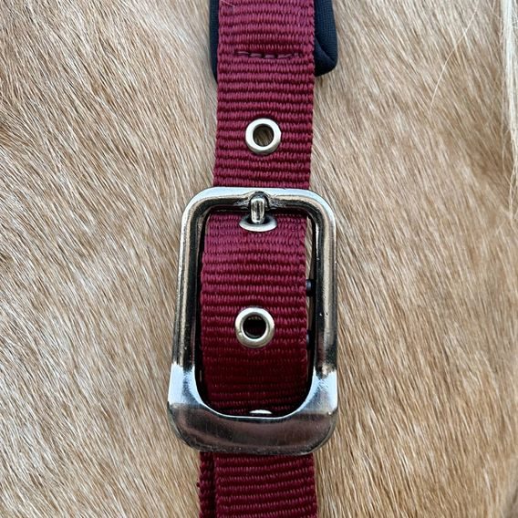 Ohlávka QHP&EQS Deluxe