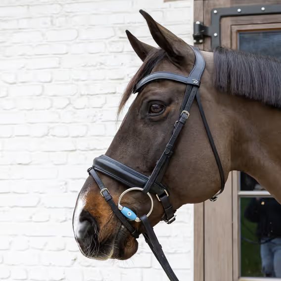 Oliva nelomená Velari by Kentucky Flex 20mm Medium